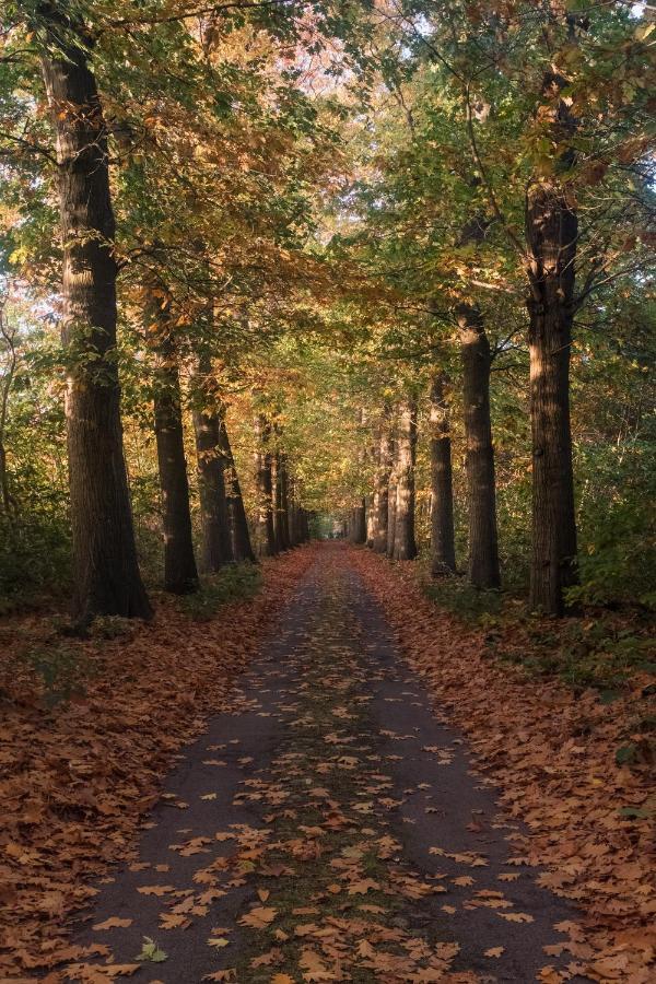 Villa Parkbos De Pinte Exteriér fotografie